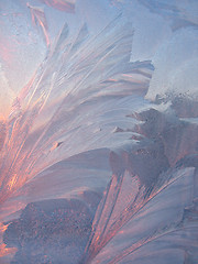 Image showing frost and sun