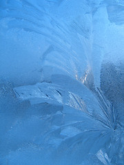 Image showing frosty natural pattern