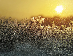 Image showing frost and sun