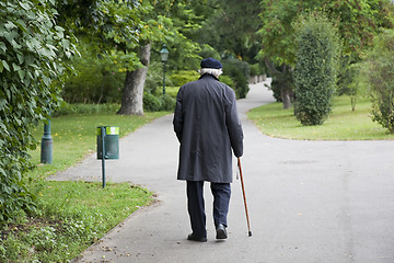 Image showing Senior walk in the park