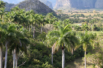 Image showing Vinales, Cuba