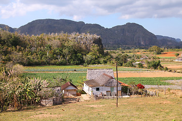 Image showing Vinales, Cuba