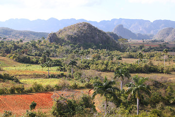 Image showing Vinales, Cuba