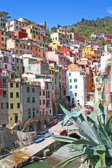 Image showing Italy. Cinque Terre. Riomaggiore village 