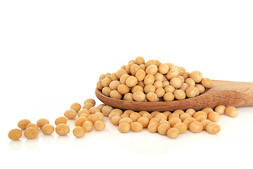 Image showing Soya Beans