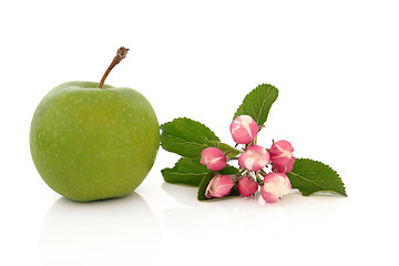 Image showing Granny Smith Apple