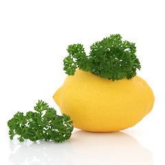 Image showing Lemon Fruit and Parsley Herb