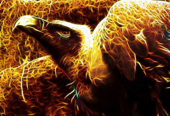 Image showing Image of Flaming Vulture from hell