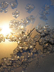 Image showing frost and sun