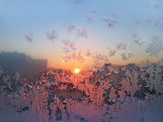 Image showing frost and sun