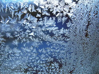 Image showing frosty natural pattern