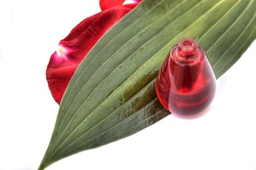 Image showing Perfumery