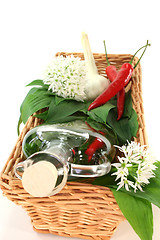 Image showing Wild garlic oil