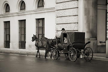 Image showing Boy in Vinnese horse cab