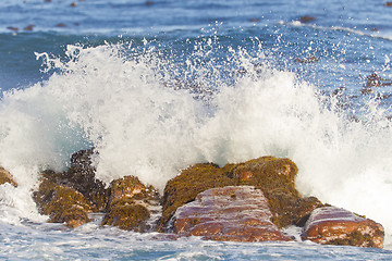 Image showing Waves breaking at the Cape of Good Hope