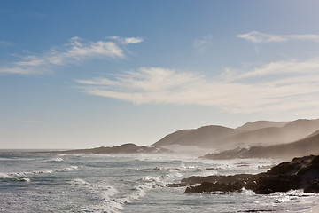 Image showing Coastline at the Cape of Good Hope