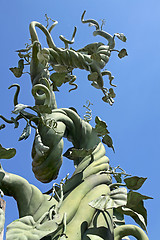 Image showing Beanstalk