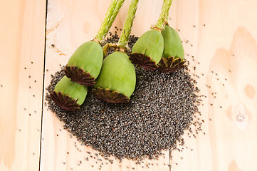 Image showing Poppy seeds and poppy heads 