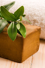 Image showing Natural Olive Soap With Fresh Branch