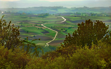 Image showing Rural landscape Serbia