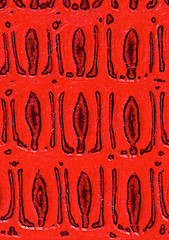 Image showing Red leather book cover detail