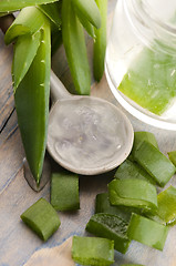 Image showing aloe vera juice with fresh leaves