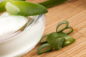 Image showing aloe vera - leaves and face cream