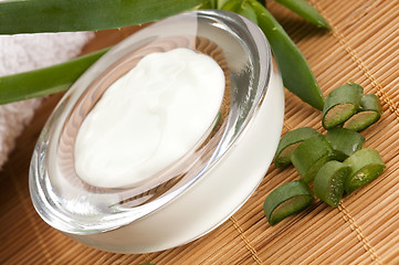 Image showing aloe vera - leaves and face cream