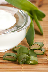 Image showing aloe vera - leaves and face cream