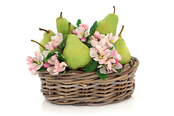 Image showing Pears and Flower Blossom