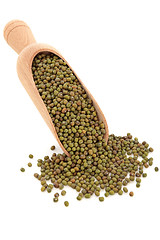 Image showing Mung Bean Pulses