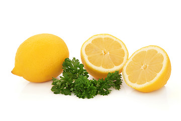 Image showing Lemon Fruit and Parsley Herb