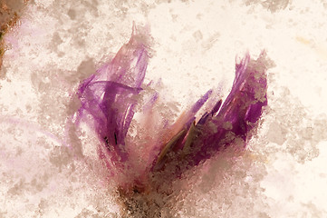 Image showing Frozen flowers. blossoms in the ice cube