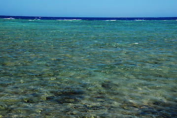 Image showing Red sea Egypt