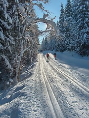 Image showing Skiing in the sun