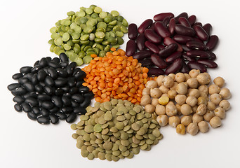 Image showing different species of legumes 