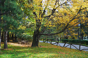 Image showing Autumn morning