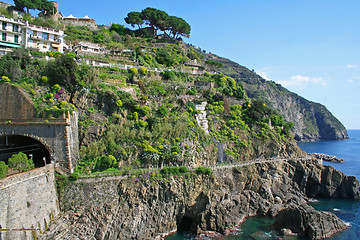 Image showing Italy. Cinque Terre coastline