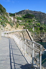 Image showing Italy. Cinque Terre coastline