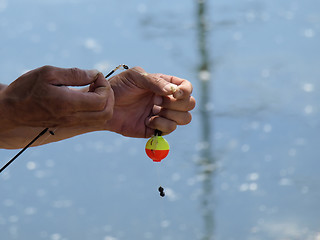 Image showing Checking Bait