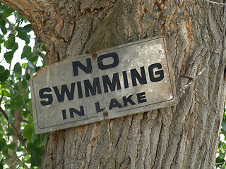 Image showing No Swimming In Lake