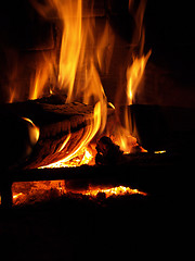 Image showing Flaming Log