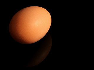 Image showing Egg