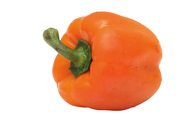 Image showing Pepper