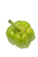 Image showing Green pepper