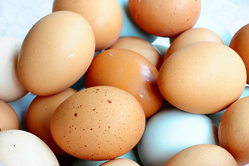 Image showing Eggs