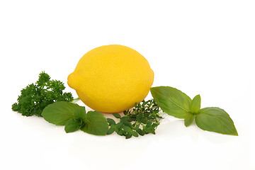 Image showing Lemon Fruit and Herbs