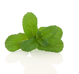 Image showing Apple Mint Herb