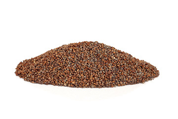 Image showing Perilla Seed