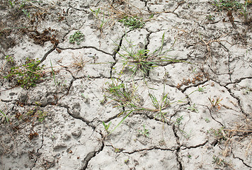 Image showing Cracked and Parched Dry Land in Drought